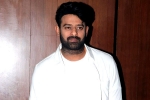 People Media Factory, Prabhas movie heroines, two beauties locked to romance prabhas, Raja deluxe People Media Factory, Prabhas movie heroines, two beauties locked to romance prabhas, Raja deluxe