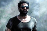 Prashanth Neel, Prabhas Salaar villain, prabhas salaar to have malayalam star, Shruthi haasan