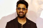 Prabhas Vintage King look, Prabhas, interesting title for prabhas next, Zarina wahab