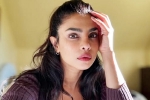 Don't Look For Virgin Wife comment, Don't Look For Virgin Wife statement, priyanka chopra breaks silence on don t look for virgin wife comment, Chopra