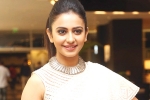 Nithiin, Harish Shankar, rakul preet s multi starrer, Actress rakul preet singh Nithiin, Harish Shankar, rakul preet s multi starrer, Actress rakul preet singh