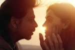 Dunki release date, Dunki, srk s dunki to be high on violence, Rajkumar hirani