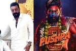 Pushpa: The Rule Allu Arjun, Mythri Movie Makers, sanjay dutt s surprise in pushpa the rule, Rashmika mandanna