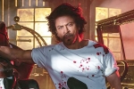 Shah Rukh Khan breaking, Shah Rukh Khan news, shah rukh khan to play a don in king, Siddharth anand
