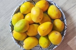 Soak Mangoes news, Soak Mangoes, soak mangoes for 30 minutes before eating, Heart