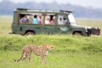 South African Safari Trip list, South African Safari Trip list, how to plan your south african safari trip, Travel
