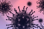 Omicron, WHO, south african scientists about omicron variant, Omicron cases