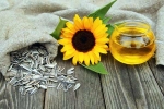 Sunflower seeds breakfast, Sunflower seeds for health, sunflower seeds and their nutritional benefits, Healthy breakfast