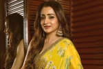 Trisha news, Trisha, trisha back to busy days, Trisha krishnan