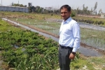 national centre of organic farming recruitment, organic farming, this u s return mba graduate is transforming a village barren land into an organic farming facility, Family business