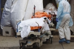 USA Coronavirus new cases, USA Coronavirus news, usa coronavirus deaths reaches 9 lakhs, Michigan