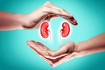 World Kidney Day 2025 care, World Kidney Day 2025 care, world kidney day 2025 theme and health tips, Fitness