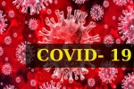 Coronavirus, Coronavirus, who renames the deadly coronavirus as covid 19, Snakes Coronavirus, Coronavirus, who renames the deadly coronavirus as covid 19, Snakes