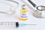 vaccine, covid-19, bcg vaccination a possible game changer us scientists, Ghazi