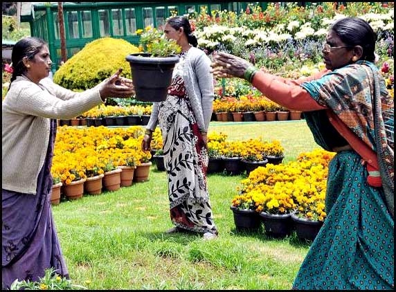 117th Annual Floral Carnival begins in Ooty