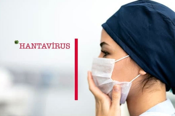 Is Hantavirus the new Covid? Is Hantavirus the new Covid?